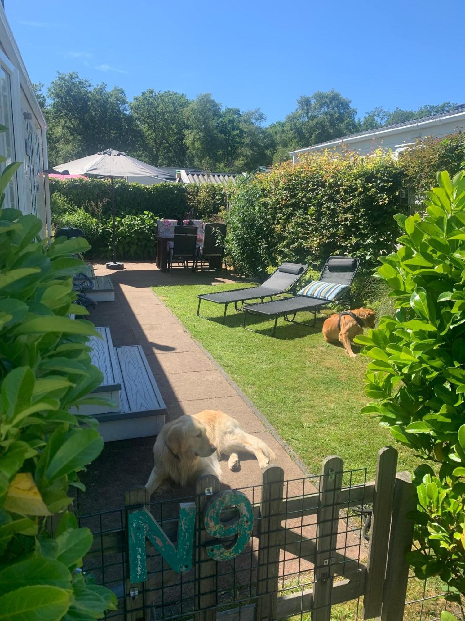 N 9Strandnahes, Hunde-Familienfreundliches Ferienhaus Callantsoog Exterior photo