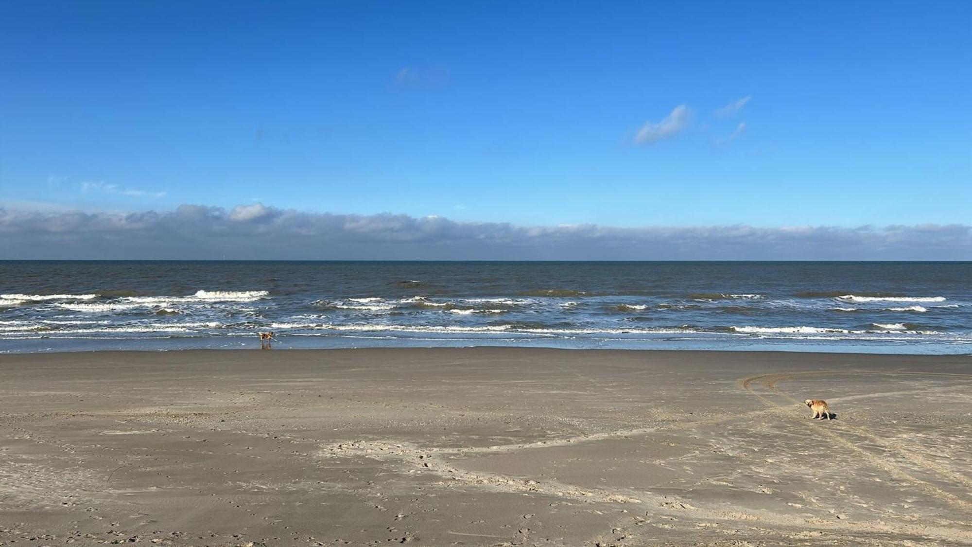 N 9Strandnahes, Hunde-Familienfreundliches Ferienhaus Callantsoog Exterior photo